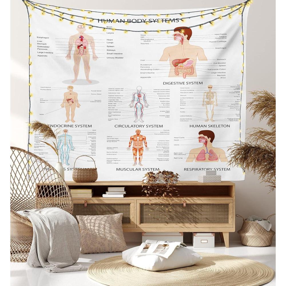 imageAmbesonne Human Anatomy Tapestry Chart of Organs Body Structures Biology Themed Cartoon Schemes Fabric Wall Hanging Decor for Bedroom Living Room Dorm 45 X 30 White and Multicolor