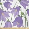 Lavender Yellow