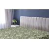 Ambesonne Floral Fitted Sheet, Roses for Valentine Love Team Holiday Celebration Botanical Artwork on Hue Back, Decorative Soft Fabric Bedding All-Round Elastic Pocket, Queen Size, Dimgray Blush(Pale Green and Hunter Green)
