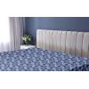 Ambesonne Floral Fitted Sheet, Roses for Valentine Love Team Holiday Celebration Botanical Artwork on Hue Back, Decorative Soft Fabric Bedding All-Round Elastic Pocket, Queen Size, Dimgray Blush(Cobalt Blue and Pale Grey)