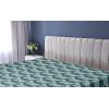 Ambesonne Floral Fitted Sheet, Roses for Valentine Love Team Holiday Celebration Botanical Artwork on Hue Back, Decorative Soft Fabric Bedding All-Round Elastic Pocket, Queen Size, Dimgray Blush(Hunter Green and Cadet Blue)