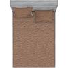 Ecru Brown and Charcoal Grey