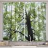 Ambesonne Cartoon Kitchen Curtains, Parachute Landscape Mountain River Clouds Palm Trees Kids Nursery Image Landscape, Window Drapes 2 Panel Set for Kitchen Cafe Decor, 55″ X 39″, Blue(Brown Green)