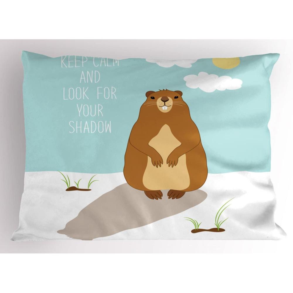 imageAmbesonne Modern Art Pillow Sham Gradient Digital Pale Color Layout New Counter Culture Art Print Decorative Standard King Size Printed Pillowcase 36 X 20 Brown Tan GreyPale Blue and Ginger