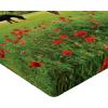 Ambesonne Colorful Fitted Sheet, Camping Equipment Outdoor Activity Adventure in Nature Theme, Bed Cover with All-Round Elastic Deep Pocket for Comfort, Full Size, Light Green(Red Green)