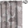 Dimgray Pale Grey