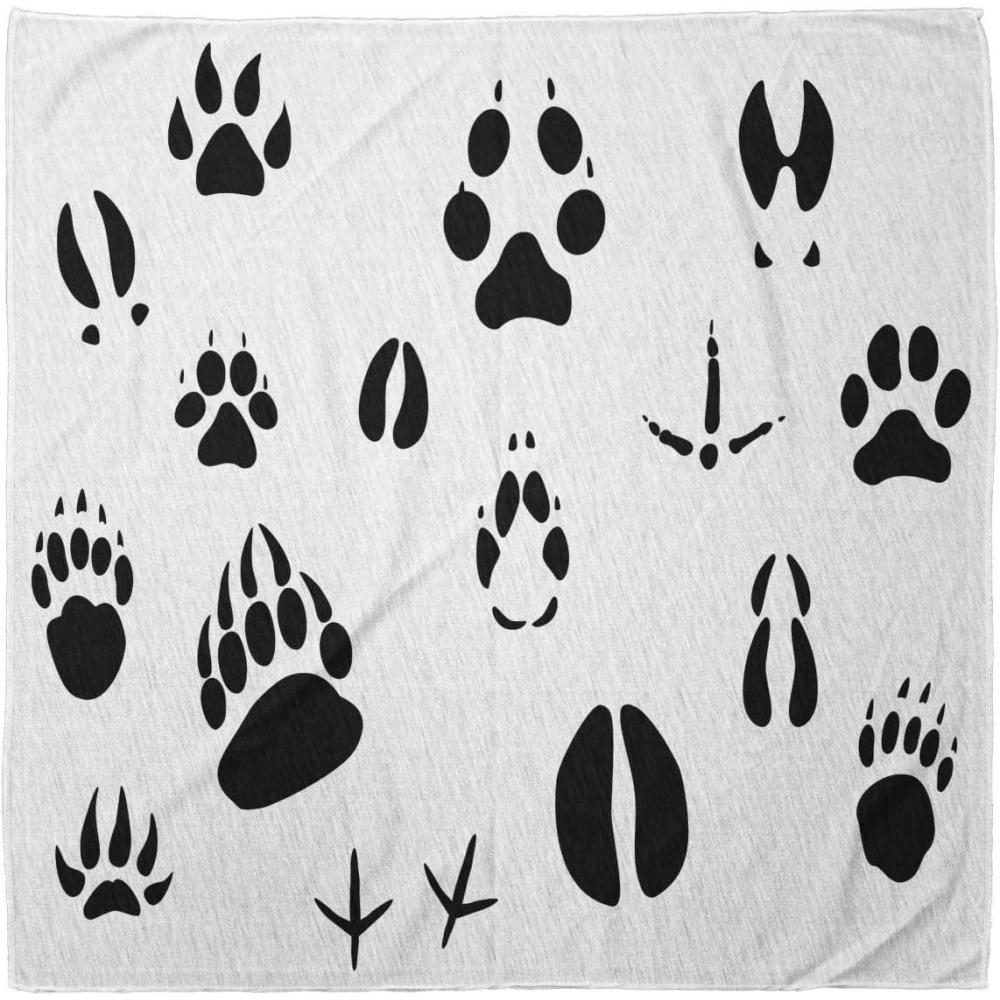 imageAmbesonne Unisex BandanaBlack and White