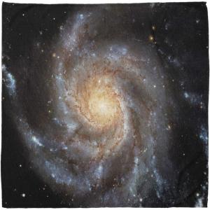 Ambesonne Unisex Bandana(Black Violet)