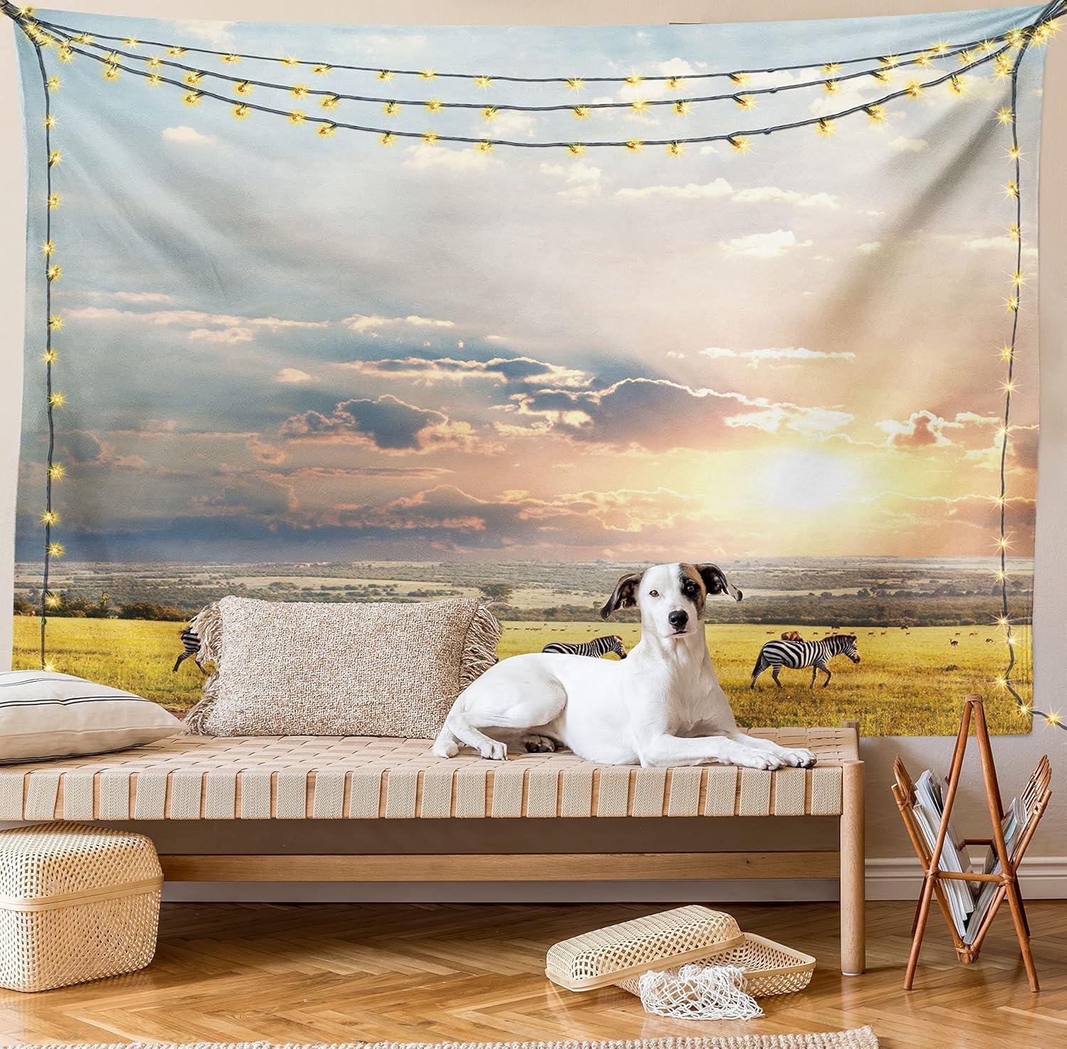 imageAmbesonne Cat Tapestry Cartoon Cat in Various Poses Sleepy Lying Dreaming Expression Comic Wall Hanging for Bedroom Living Room Dorm Decor 40 X 60 Turquoise ApricotYellow Salmon
