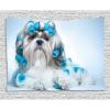 Blue Pale Blue White