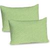 Pistachio Green