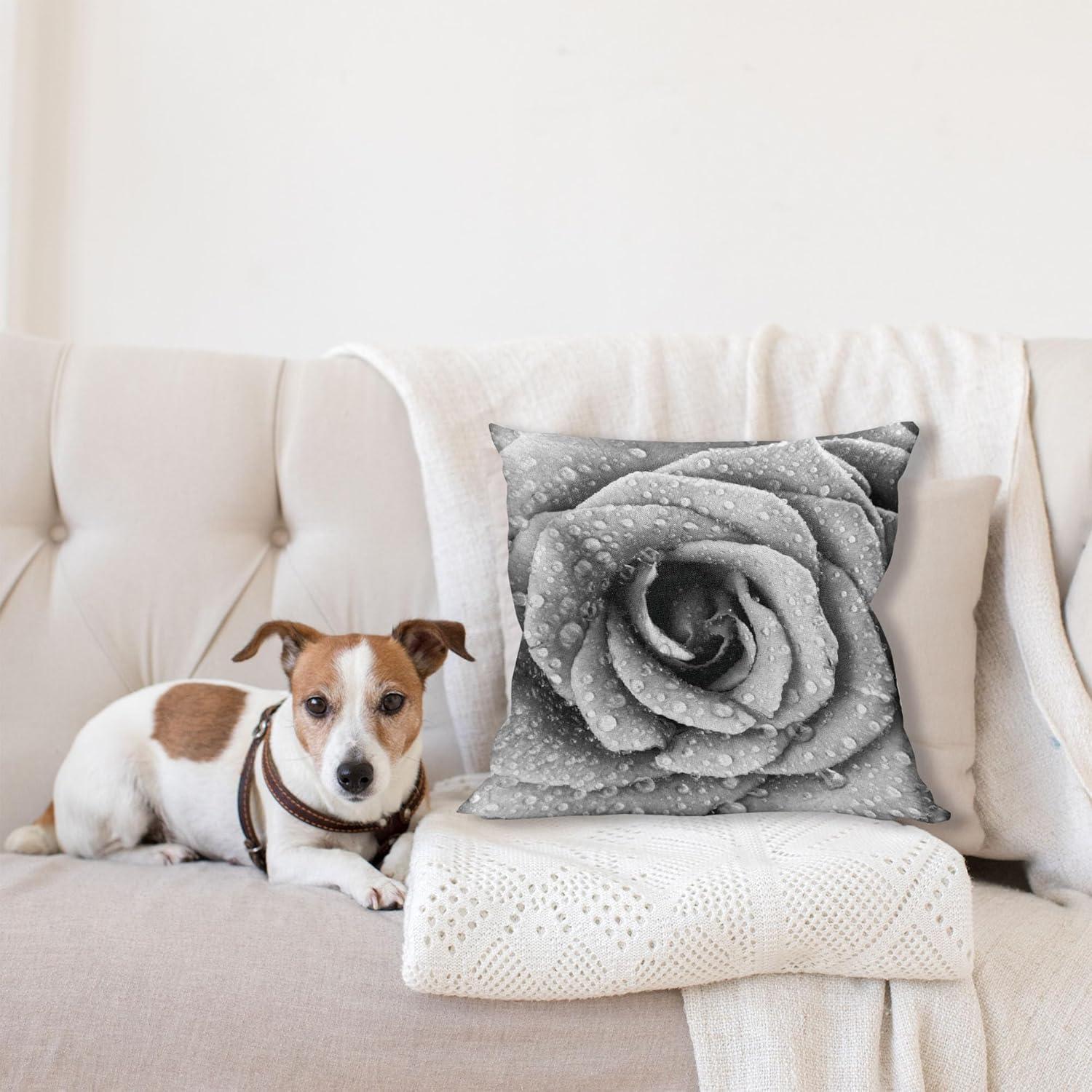 imageAmbesonne Flower Throw Pillow Cushion Cover Retro Romantic Rose Petal with Rain Water Drops Valentines Love Picture Decorative Square Accent Pillow Case 18 X 18 White and BlackWhite and Black
