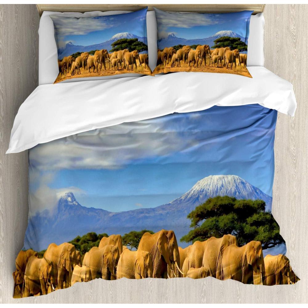 imageAmbesonne Cactus Print Duvet Cover Sets Outline Drawing of Hearts and Pots Drawn by Hand Valentines Day Theme Bedding Set with 2 Duvet Covers amp 4 Pillowcases 2 Pack Queen Size Magenta and WhiteAzure Blue and Multicolor