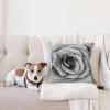 Ambesonne Flower Throw Pillow Cushion Cover, Retro Romantic Rose Petal with Rain Water Drops Valentines Love Picture, Decorative Square Accent Pillow Case, 18″ X 18″, White and Black(White and Black)