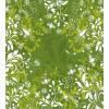 Ambesonne Love Duvet Cover Sets, Hand Written I Love You Phrases Heart Valentines Day Inspiration, Bedding Set with 2 Duvet Covers & 4 Pillowcases, 2 Pack Queen Size, Vermilion Black White(Apple Green Fern Green)