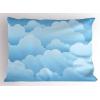Ambesonne Valentines Day Pillow Sham Set of 2, Pop Culture Keep Calm Words with Heart Shaped Eye Love Theme, Quality Microfiber Bedding Item for All Seasons, 36″ x 20″, Charcoal Grey Pale Pink(Blue and Pale Blue)