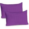 Violet and Hot Pink