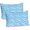 Pale Blue White Blue