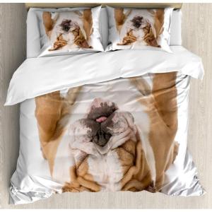 Ambesonne Cactus Print Duvet Cover Sets, Outline Drawing of Hearts and Pots Drawn by Hand Valentine’s Day Theme, Bedding Set with 2 Duvet Covers & 4 Pillowcases, 2 Pack Queen Size, Magenta and White(Pale Brown and White)