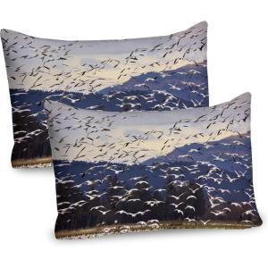 Ambesonne Fence Pillow Sham Set of 2, Cats in Love Watching Full Moon at Night Valentines Romantic Cartoon, Quality Microfiber Bedding Item for All Seasons, 26″ x 20″, Indigo Cobalt Blue White(Ceil Blue Brown)
