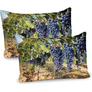 Ambesonne Fence Pillow Sham Set of 2, Cats in Love Watching Full Moon at Night Valentines Romantic Cartoon, Quality Microfiber Bedding Item for All Seasons, 26″ x 20″, Indigo Cobalt Blue White(Avocado Green Ceil Blue)