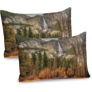 Ambesonne Flower Pillow Sham Set of 2, Dreamy Tree Body View Cloudy Details Love and Affection Valentines Inspired Motif, Quality Microfiber Bedding Item for All Seasons, 30″ x 20″, Purple(Orange Green)