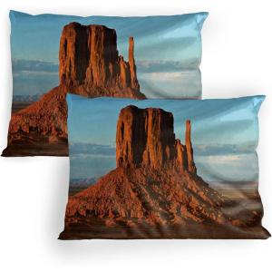 Ambesonne Flower Pillow Sham Set of 2, Dreamy Tree Body View Cloudy Details Love and Affection Valentines Inspired Motif, Quality Microfiber Bedding Item for All Seasons, 30″ x 20″, Purple(Blue Orange)