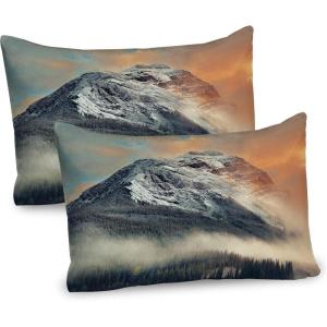 Ambesonne Flower Pillow Sham Set of 2, Dreamy Tree Body View Cloudy Details Love and Affection Valentines Inspired Motif, Quality Microfiber Bedding Item for All Seasons, 30″ x 20″, Purple(Grey Orange)