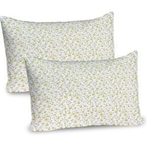 Ambesonne Flower Pillow Sham Set of 2, Floral Pattern Romantic Spring Valentines Day Wedding Anniversary Theme Art, Quality Microfiber Bedding Item for All Seasons, 36″ x 20″, Violet White(Pale Green White)