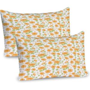 Ambesonne Flower Pillow Sham Set of 2, Floral Pattern Romantic Spring Valentines Day Wedding Anniversary Theme Art, Quality Microfiber Bedding Item for All Seasons, 36″ x 20″, Violet White(Pale Orange Green White)