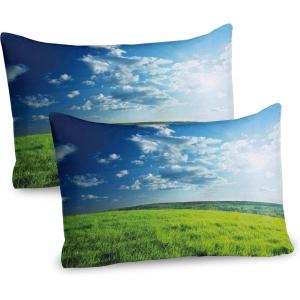 Ambesonne Modern Pillow Sham Set of 2, Husky Dog Faced Man at Valentines with Hearts Romantic Love Display, Quality Microfiber Bedding Item for All Seasons, 26″ x 20″, Sand Brown Slate Blue(Lime Green Pale Blue)