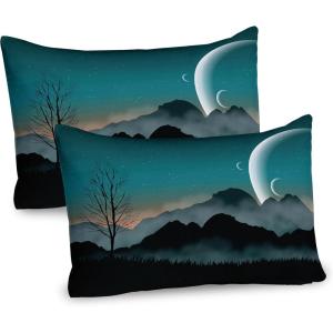 Ambesonne Shabby Flora Pillow Sham Set of 2, Romantic Rose Petals with Branches Nature Beauty Valentine Feminine Print, Quality Microfiber Bedding Item for All Seasons, 26″ x 20″, Pink and Yellow(Teal Black)
