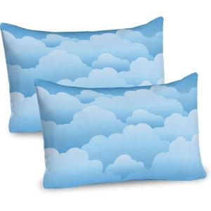 Ambesonne Valentines Day Pillow Sham Set of 2, Pop Culture Keep Calm Words with Heart Shaped Eye Love Theme, Quality Microfiber Bedding Item for All Seasons, 36″ x 20″, Charcoal Grey Pale Pink(Blue and Pale Blue)