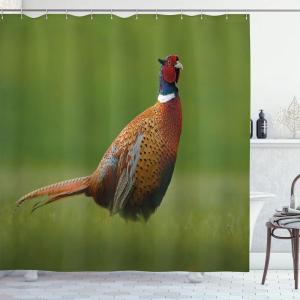 Ambesonne Floral Shower Curtain, Bouquet with Swirled Branches Romantic Paper Flowers Origami Autumn Blooms Image, Cloth Fabric Bathroom Decor Set with Hooks, 69″ W x 84″ L, Mint Orange(Ginger Chocolate and Red)