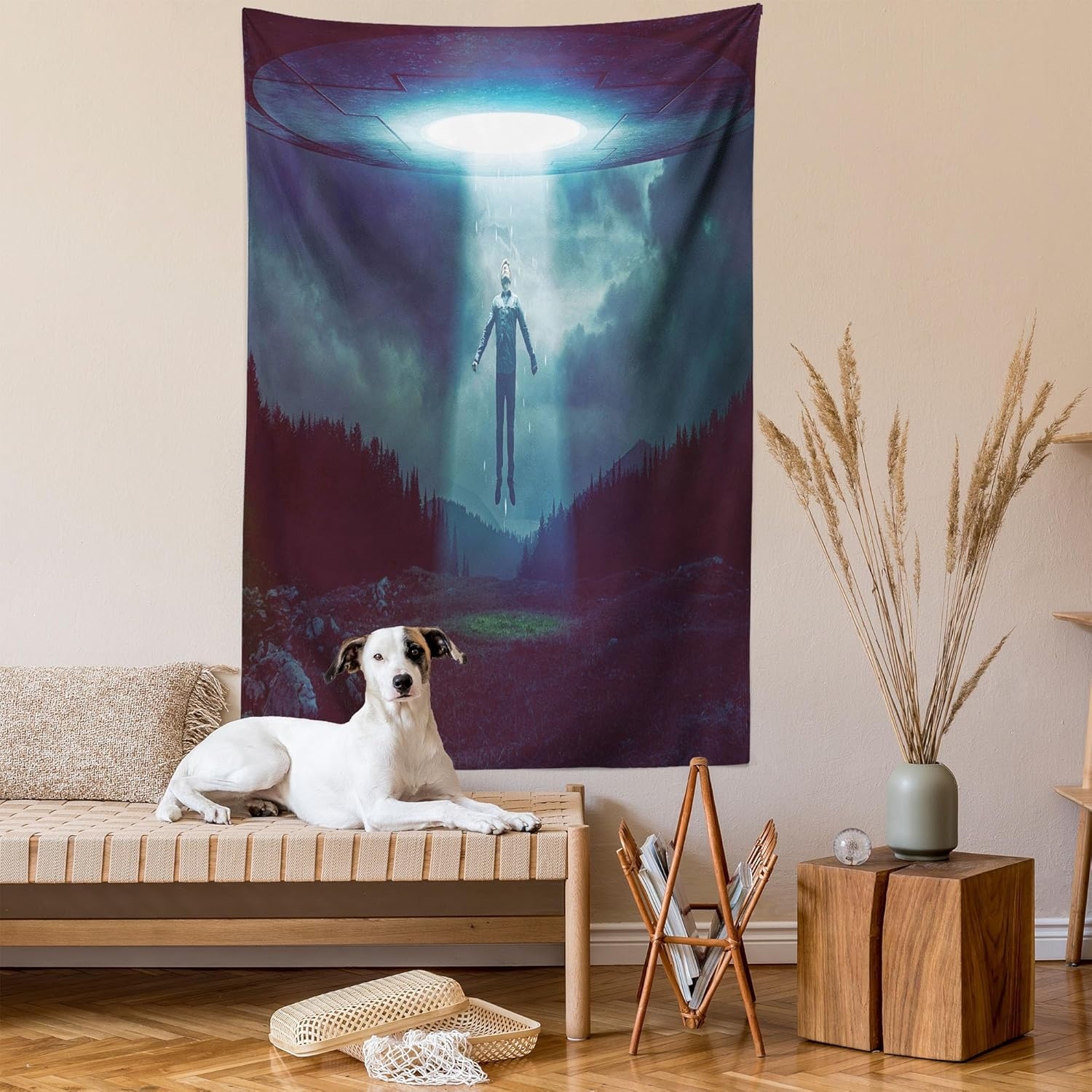 imageAmbesonne Modern Art Tapestry Hippie Funk Trippy Objects UFO Music Box Lips Tapes and Speakers Image Wall Hanging for Bedroom Living Room Dorm Decor 40 X 60 RainbowBurgundy Teal