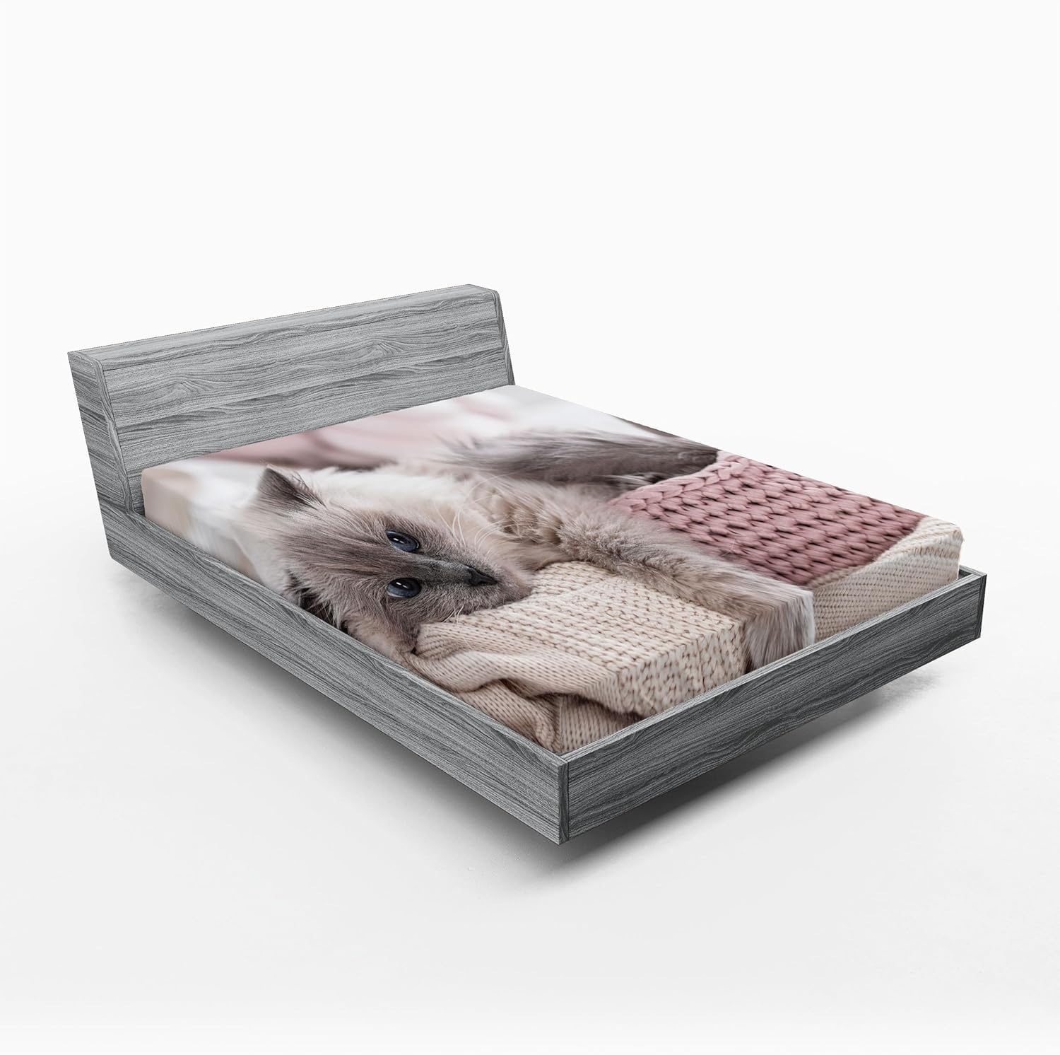 image:imageAmbesonne Dino Fitted Sheet Cartoon Style Colorful Dinosaurs TRex Triceratops Prehistoric Reptile Wildlife Bed Cover with AllRound Elastic Deep Pocket for Comfort Twin Size Pink PurpleDimgray and Pale Rose