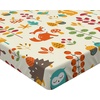 Ambesonne Cartoon Fitted Sheet, Autumn Pattern Owl Fox Squirrel Birds Animal Leaves Print, Soft Decorative Fabric Bedding All-Round Elastic Pocket, Twin Size, Cream Orange
