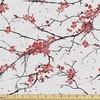 Black Coral