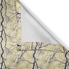 Ambesonne Botanical Valance & Tier Curtain 3 pcs Set, Lone Autumn Tree Theme Leafless Branches on Shadowy Beige Background, Window Treatments for Kitchen Room Decor, 55″ x 24″, Beige and Charcoal Grey